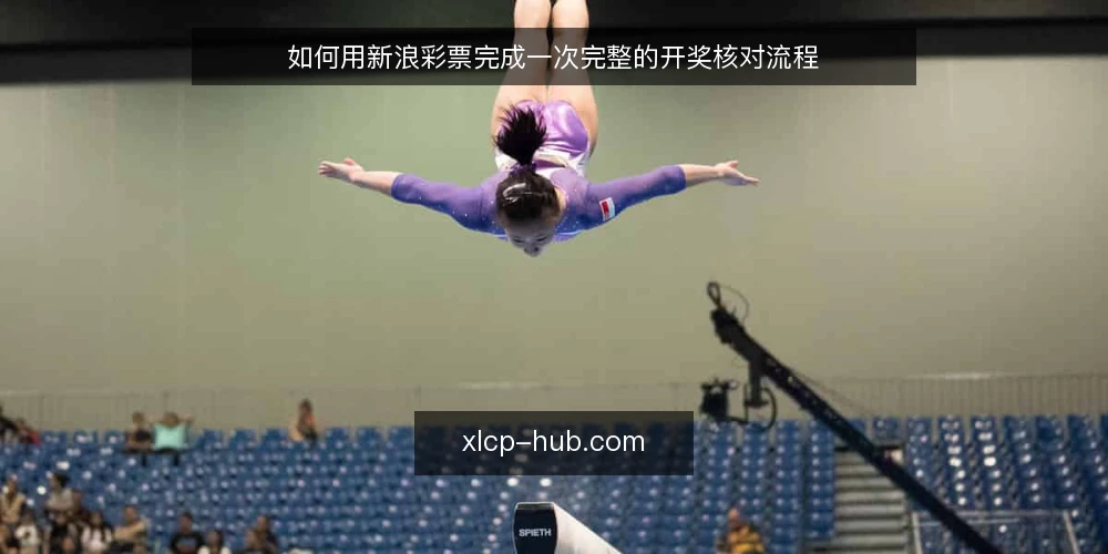如何用新浪彩票完成一次完整的开奖核对流程 — 场景设定:核对一次双色球开奖 配图