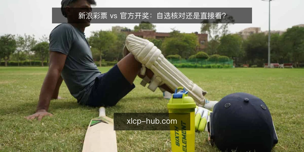 新浪彩票 vs 官方开奖:自选核对还是直接看? — 对比之前:先明确你的核对需求 配图