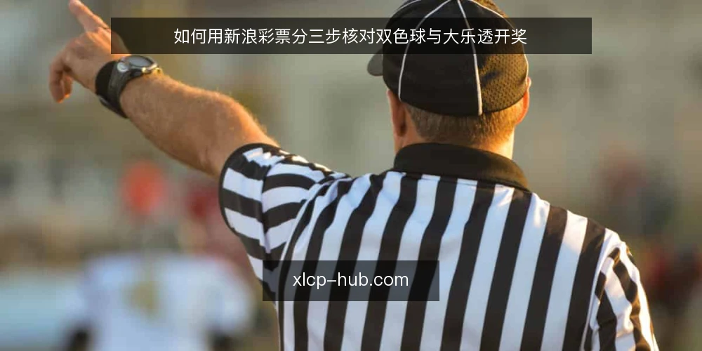 如何用新浪彩票分三步核对双色球与大乐透开奖 — 准备阶段:明确核对目标与信息边界 配图