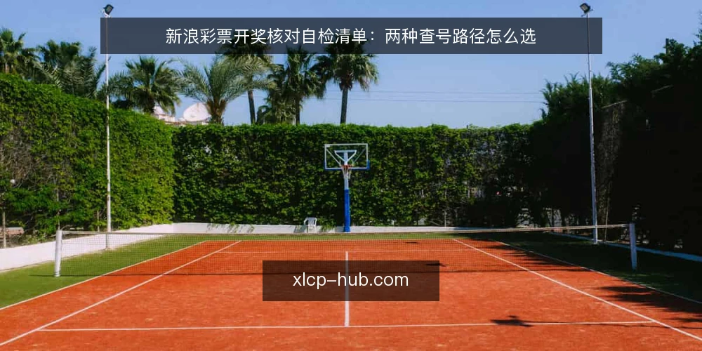 新浪彩票开奖核对自检清单：两种查号路径怎么选 — 先定决策标准：核对要满足什么 配图