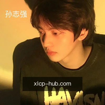 孙志强